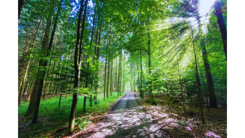 Top 8 Hidden Adventure Spots for Offbeat Travelers